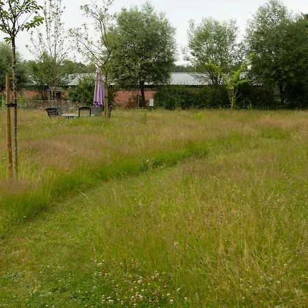 Op De Grens * Lommel